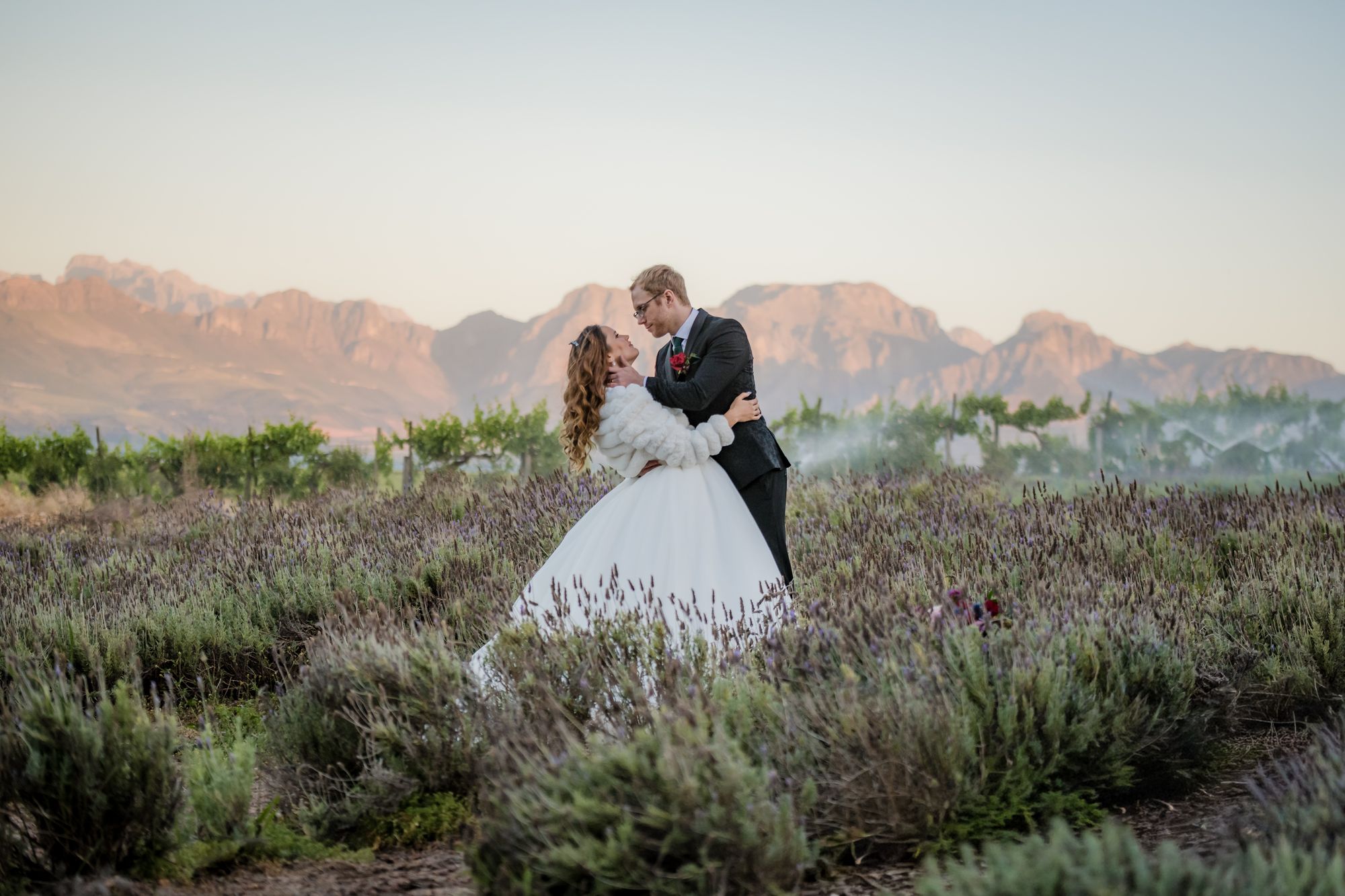 A couple embrace in a lavender vineyard beneath the Winelands mountains at dusk